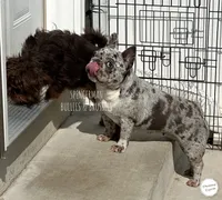 processed/9c8512a4-2241-4fb1-a275-5c3290cd7dcb/facility/42681ad3-56da-4f11-ae81-03ee4bda3d2c