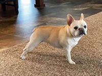 processed/9c8512a4-2241-4fb1-a275-5c3290cd7dcb/facility/9145f4ee-94bf-45d2-8382-a9210cc91878