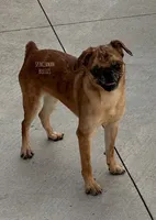 processed/9c8512a4-2241-4fb1-a275-5c3290cd7dcb/facility/945662f8-8200-45bc-9979-c6d295320df4