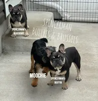 processed/9c8512a4-2241-4fb1-a275-5c3290cd7dcb/facility/b02805d0-340b-4101-923a-9cb22c4f478a