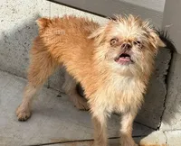 processed/9c8512a4-2241-4fb1-a275-5c3290cd7dcb/facility/d5928c77-96e4-4542-a752-f72e1dc49ed6