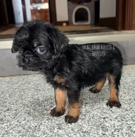 processed/9c8512a4-2241-4fb1-a275-5c3290cd7dcb/listing/c778bedd-5946-40b8-876b-d3dd3b409ce1/0ea3ff98-c453-4c39-b9d6-0e7f20061a1a