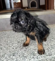 processed/9c8512a4-2241-4fb1-a275-5c3290cd7dcb/listing/c778bedd-5946-40b8-876b-d3dd3b409ce1/1d688988-9153-46fd-879e-185b8fc79967