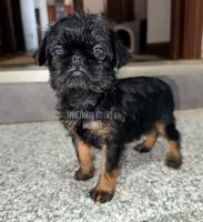 processed/9c8512a4-2241-4fb1-a275-5c3290cd7dcb/listing/c778bedd-5946-40b8-876b-d3dd3b409ce1/55bcd655-d7a3-45fd-a139-338befb6117b