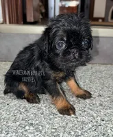 processed/9c8512a4-2241-4fb1-a275-5c3290cd7dcb/listing/c778bedd-5946-40b8-876b-d3dd3b409ce1/6eb531ba-a6dd-42bd-b9ac-fcb14f1e39c3