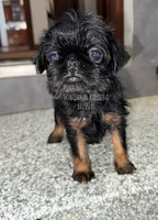 processed/9c8512a4-2241-4fb1-a275-5c3290cd7dcb/listing/c778bedd-5946-40b8-876b-d3dd3b409ce1/961ef8dc-73f5-4e0c-a2a0-d6e25afcba42