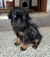 processed/9c8512a4-2241-4fb1-a275-5c3290cd7dcb/listing/c778bedd-5946-40b8-876b-d3dd3b409ce1/e248d02a-1c67-4849-bb58-fc4306217483