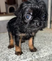 processed/9c8512a4-2241-4fb1-a275-5c3290cd7dcb/listing/c778bedd-5946-40b8-876b-d3dd3b409ce1/f05b635b-ebaf-4bbb-96a3-ac46480d292c