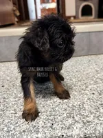 processed/9c8512a4-2241-4fb1-a275-5c3290cd7dcb/listing/c778bedd-5946-40b8-876b-d3dd3b409ce1/f7f4e35f-78b3-48b3-9c83-210d66863fec