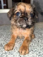 processed/9c8512a4-2241-4fb1-a275-5c3290cd7dcb/listing/cf29f1df-1e04-49b0-8169-015d631394db/15e557a8-0012-49af-93b0-521e5f3b5722