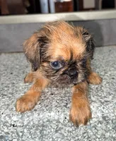 processed/9c8512a4-2241-4fb1-a275-5c3290cd7dcb/listing/cf29f1df-1e04-49b0-8169-015d631394db/74895a7b-bcc9-4a60-bb3f-f89b35b066f9