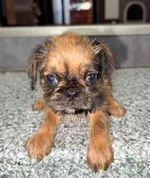 processed/9c8512a4-2241-4fb1-a275-5c3290cd7dcb/listing/cf29f1df-1e04-49b0-8169-015d631394db/b3aa234d-868e-4759-9d21-93b313cfc005