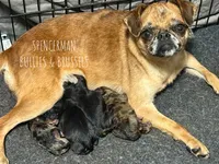 processed/9c8512a4-2241-4fb1-a275-5c3290cd7dcb/listing/cf29f1df-1e04-49b0-8169-015d631394db/b803ca09-96b5-44f1-9957-e9b0f2381f6e