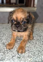 processed/9c8512a4-2241-4fb1-a275-5c3290cd7dcb/listing/cf29f1df-1e04-49b0-8169-015d631394db/cad378c4-51d2-4678-9b7b-110336ff9011