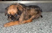 processed/9c8512a4-2241-4fb1-a275-5c3290cd7dcb/listing/cf29f1df-1e04-49b0-8169-015d631394db/d6b717e0-469f-4368-b568-7523af67daa3