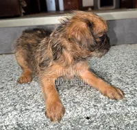 processed/9c8512a4-2241-4fb1-a275-5c3290cd7dcb/listing/cf29f1df-1e04-49b0-8169-015d631394db/fa8b5e44-ca82-40da-b8b7-f236f2304eeb