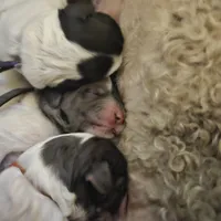 processed/9c87b078-5566-4888-82b2-7a977386d441/facility/a2da6134-211e-4b71-94f8-7496d5e71743