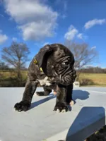 processed/9c8f5fce-64a8-496e-8445-cec928470b4f/listing/0d5d31bf-ed19-471a-b6de-621a8cc31c63/6770d728-e7a6-4974-a0d2-a6ffeb6dc3d8