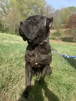 processed/9c8f5fce-64a8-496e-8445-cec928470b4f/listing/0d5d31bf-ed19-471a-b6de-621a8cc31c63/97f7d1a1-0073-4272-9a21-1c50d5724dcf