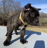 processed/9c8f5fce-64a8-496e-8445-cec928470b4f/listing/0d5d31bf-ed19-471a-b6de-621a8cc31c63/a590900b-25e2-435d-a372-3524a3ff3378