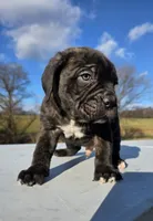 processed/9c8f5fce-64a8-496e-8445-cec928470b4f/listing/0d5d31bf-ed19-471a-b6de-621a8cc31c63/d0319573-1166-4d07-84bc-4b50cb724c8a