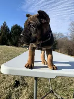 processed/9c8f5fce-64a8-496e-8445-cec928470b4f/listing/34a218e4-511b-4d76-8b0f-00d535483e61/4c5f1f8f-2297-4093-96af-2fe130999d02