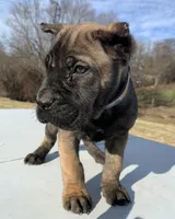 processed/9c8f5fce-64a8-496e-8445-cec928470b4f/listing/34a218e4-511b-4d76-8b0f-00d535483e61/50d4440a-4228-4e87-86e3-c1b54b7f68bc