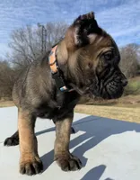 processed/9c8f5fce-64a8-496e-8445-cec928470b4f/listing/34a218e4-511b-4d76-8b0f-00d535483e61/516d8a97-cc62-4f8e-8403-8acab1b2c9f0