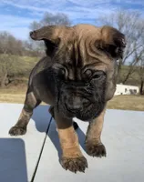 processed/9c8f5fce-64a8-496e-8445-cec928470b4f/listing/34a218e4-511b-4d76-8b0f-00d535483e61/987b572e-5928-4608-a5fb-c331c3536c86