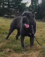 processed/9c8f5fce-64a8-496e-8445-cec928470b4f/listing/34a218e4-511b-4d76-8b0f-00d535483e61/a2d0c0ff-2b73-4b1f-869d-ffe6e6a87ac5