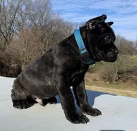 processed/9c8f5fce-64a8-496e-8445-cec928470b4f/listing/cca40366-cc6a-4729-91f9-9574f222785a/4c2e7ce7-4b91-4273-8860-195e734e2bdb