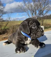 processed/9c8f5fce-64a8-496e-8445-cec928470b4f/listing/cca40366-cc6a-4729-91f9-9574f222785a/bc0d35cc-89ec-48c3-948f-059b45d619ec