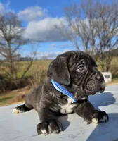 processed/9c8f5fce-64a8-496e-8445-cec928470b4f/listing/cca40366-cc6a-4729-91f9-9574f222785a/cec291b8-a59f-4b72-976e-dd0d08595369