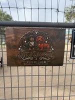 AKC Dachshund Male, a male Miniature Dachshund for sale in Chino Valley, AZ – 8 of 8