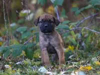 processed/9c9eceeb-13c9-4791-9ccf-861c2ecfc06e/listing/0168bdb0-958d-4477-b194-7a8d4c57b1ca/28459742-9801-433a-a3d4-ff64e7be04b8