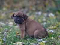 processed/9c9eceeb-13c9-4791-9ccf-861c2ecfc06e/listing/0168bdb0-958d-4477-b194-7a8d4c57b1ca/86fec0ae-001c-4e8e-98d9-a13466feaf7c