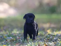 processed/9c9eceeb-13c9-4791-9ccf-861c2ecfc06e/listing/1b484d7f-cfb6-413f-a276-c8e0cc5d77ff/80f5331a-5fbb-48de-907c-0c6a72d42d55