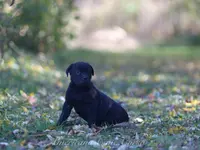 processed/9c9eceeb-13c9-4791-9ccf-861c2ecfc06e/listing/1b484d7f-cfb6-413f-a276-c8e0cc5d77ff/86586bae-e5b2-4ccd-8fa1-7d1acf446fcf