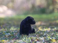 processed/9c9eceeb-13c9-4791-9ccf-861c2ecfc06e/listing/1b484d7f-cfb6-413f-a276-c8e0cc5d77ff/ea3cd27f-d099-49f1-a306-1031718867b4