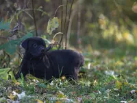 processed/9c9eceeb-13c9-4791-9ccf-861c2ecfc06e/listing/1b484d7f-cfb6-413f-a276-c8e0cc5d77ff/fa4abfa6-4e12-4235-a17f-1031de836868