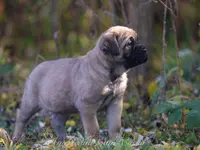 processed/9c9eceeb-13c9-4791-9ccf-861c2ecfc06e/listing/25a53364-2be5-4c6c-979b-c433f641c0d4/af84907c-3427-43bb-bc9f-47a9f7e97163