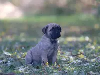 processed/9c9eceeb-13c9-4791-9ccf-861c2ecfc06e/listing/25a53364-2be5-4c6c-979b-c433f641c0d4/fc2c4213-4a3e-427f-827e-188e3b6aa95f