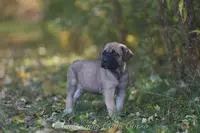 processed/9c9eceeb-13c9-4791-9ccf-861c2ecfc06e/listing/7dad969b-398d-4ac5-9137-4dc0c60a7e96/1c813814-f526-4d13-b800-c5f621b24508