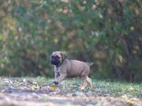 processed/9c9eceeb-13c9-4791-9ccf-861c2ecfc06e/listing/7dad969b-398d-4ac5-9137-4dc0c60a7e96/6f632d27-57ee-4ce4-9c9f-f82523f4fe32