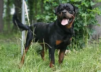 processed/9cb0fde1-a9d8-4d7c-ab0e-cc4e5d3e344d/facility/1c4cafb8-77ae-4f01-ab13-6485dbfa03e0