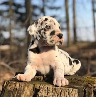 processed/9cb0fde1-a9d8-4d7c-ab0e-cc4e5d3e344d/facility/f1b1c3da-2695-41d5-9dee-5b57c925bf58