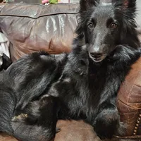 processed/9cb36407-3f3c-4ecc-9e9e-99d40bbdbff8/facility/8740a7bd-2311-42a2-966b-27c17c5325f5