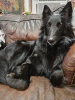 processed/9cb36407-3f3c-4ecc-9e9e-99d40bbdbff8/facility/8740a7bd-2311-42a2-966b-27c17c5325f5