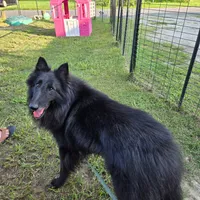 processed/9cb36407-3f3c-4ecc-9e9e-99d40bbdbff8/facility/f29785e2-2ce4-4d1c-9784-5555bea54a82