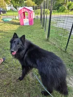 processed/9cb36407-3f3c-4ecc-9e9e-99d40bbdbff8/facility/f29785e2-2ce4-4d1c-9784-5555bea54a82